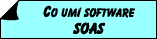 Co um� software SOAS
