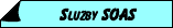 Slu�by SOAS